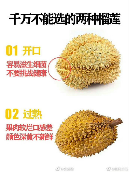 Domestic durian celebrates its first market launch