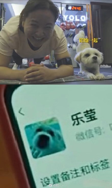 Jia Ling's Canine Companion: A Heartwarming Tale of Friendship and Resilience