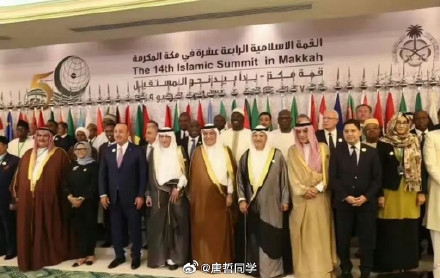 Iranian Military Strikes in Iraq and Syria: Reactions and Analysis on Weibo