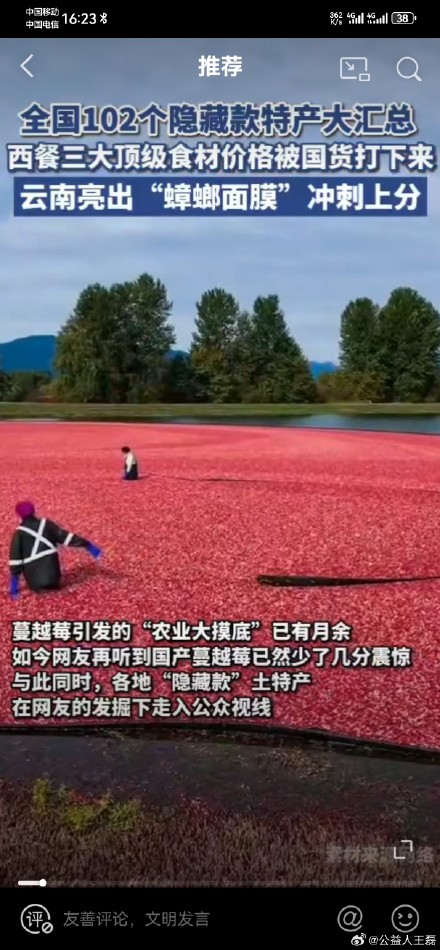 Chinese Farmers Challenge Western Culinary Elite with Affordable Alternatives