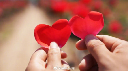Valentine's Day Gifts Amidst Chinese New Year: Love in the Midst of Celebrations