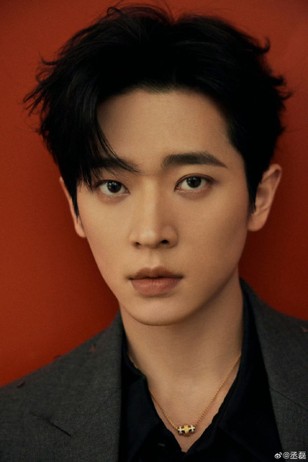 Controversy Unfolds as Chen Lei Shares Candid Insights on Upcoming Projects and Physical Appearance