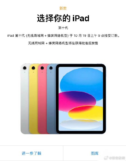 Apple iPad with an eSIM (electronic simulation card)