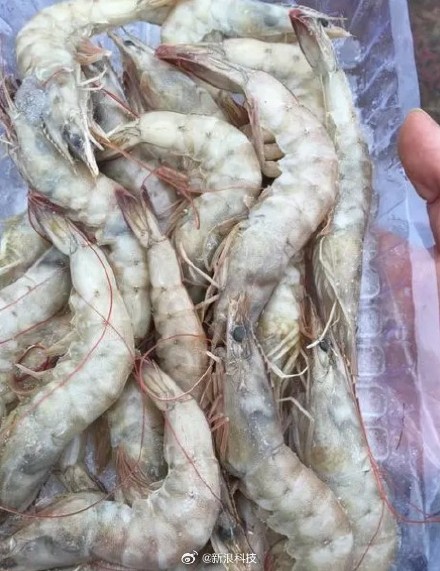 Shrimp Retailer Dongfang Xuanze Faces Allegations of Selling Tainted Shrimp