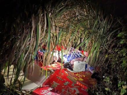 Four Missing Siblings Found Asleep in Chinese Field: A Happy Ending to a National Concern