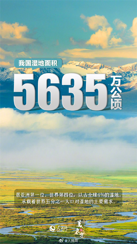 Chinese Netizens Rally Behind Wetland Conservation Efforts