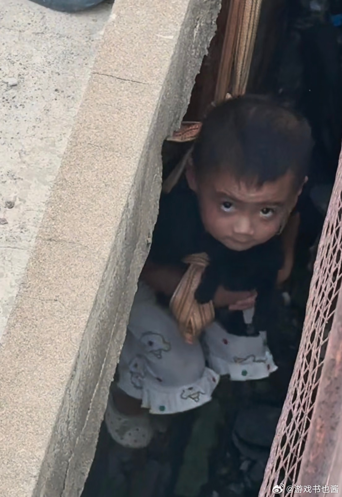 A viral video of a Chinese father lowering his harnessed daughter into the gap beneath a bridge to rescue a stuck puppy has divided Weibo. Supporters saw a lesson in courage; critics saw an avoidable risk to a child who could not consent to it.