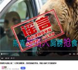 Officials Say the Brown Bear Begging From Tourists at Kanas Was Pure AI Fabrication