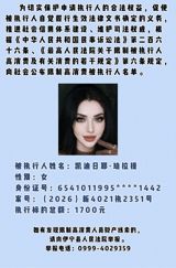 Owed 1,700 Yuan, Published With Her Photo: How China's Court 'Spending Restrictions' Work
