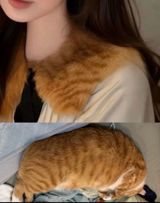 How a Fabric Label Reading '100% Tabby Cat Fur' Ended a Chinese Brand's Launch