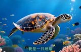 Indonesia Stops the Suspect in the Raja Ampat Turtle-Killing Video at the Airport