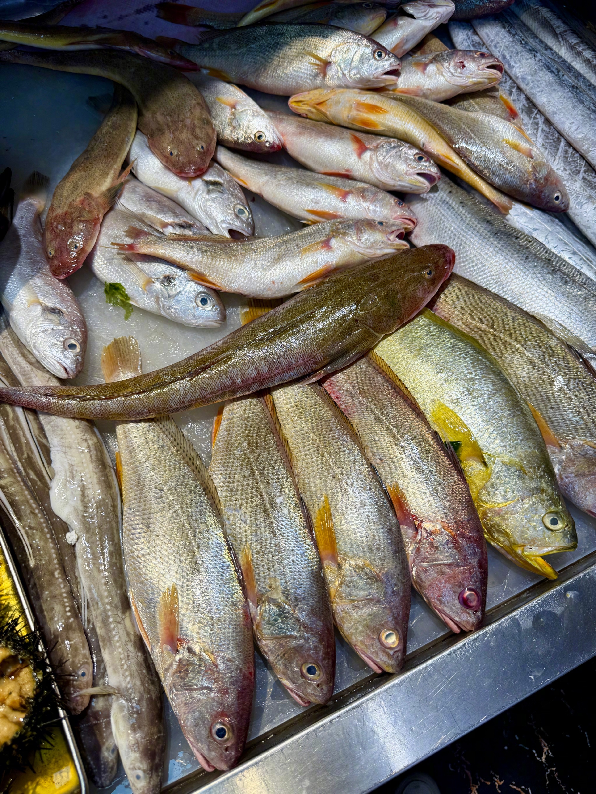 A Country With No Shortage of Sea, 2,000 Kilometres From It: How Inland China Farms Seafood