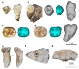 Denisovans Lived in China's Southwest 160,000 Years Ago, Two Nature Studies Confirm