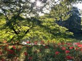 Why China Puts Its Farmers' Holiday on the Autumn Equinox