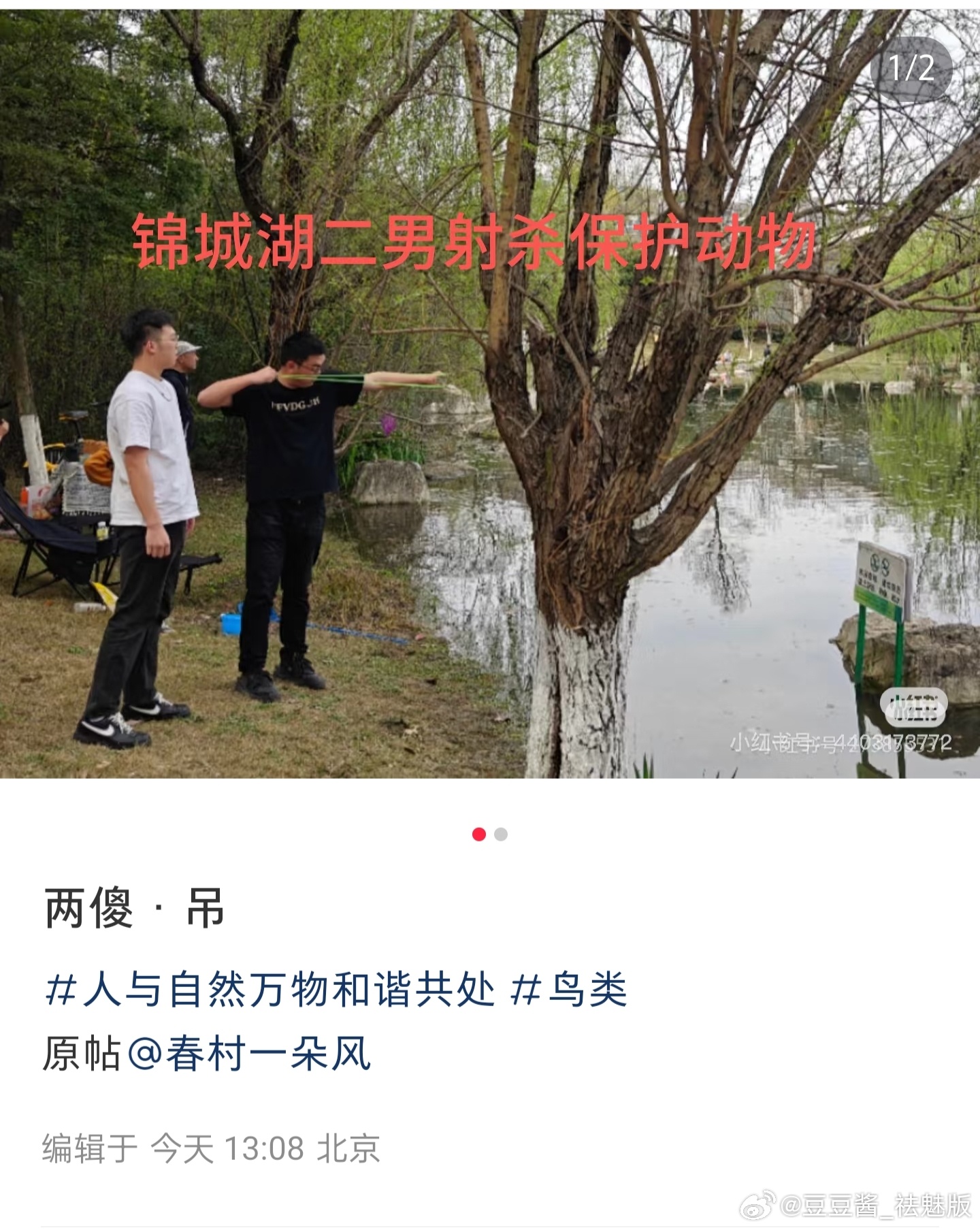 Tiger Invasion: Jilin Village Recovers from Surprise Attack